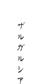 ザルガルシア